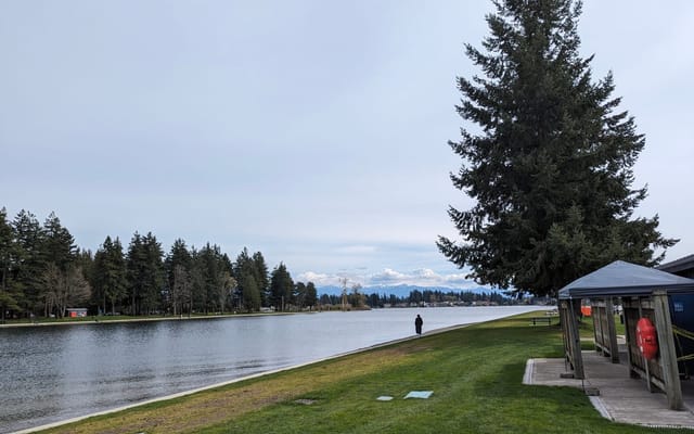 Window tint and PPF for Lake Tapps, WA drivers